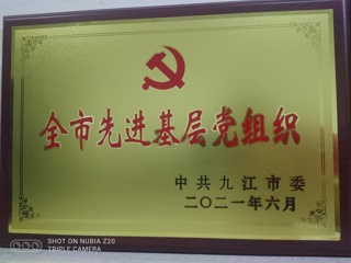 2021年全市先进基层党组织