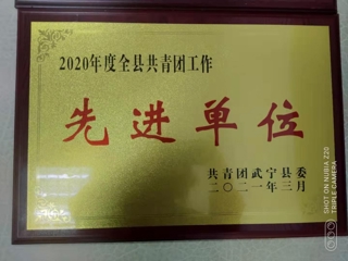 2020年全县共青团工作先进单位 ​