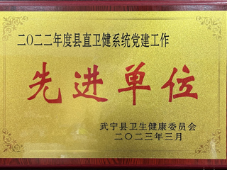 2022年度县直卫健系统党建工作先进单位