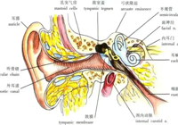 【新技术】武宁县总医院人民医院院区神经内科开展视频眼震图仪技术