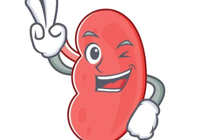 【健康科普】您的肾脏健康吗？早检查，保健康